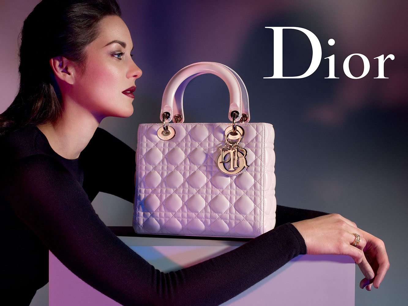 Vai trò của lao công nhập công ty lớn Dior như vậy nào?

