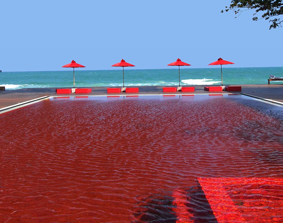 best-pools-in-the-world-koh-samui