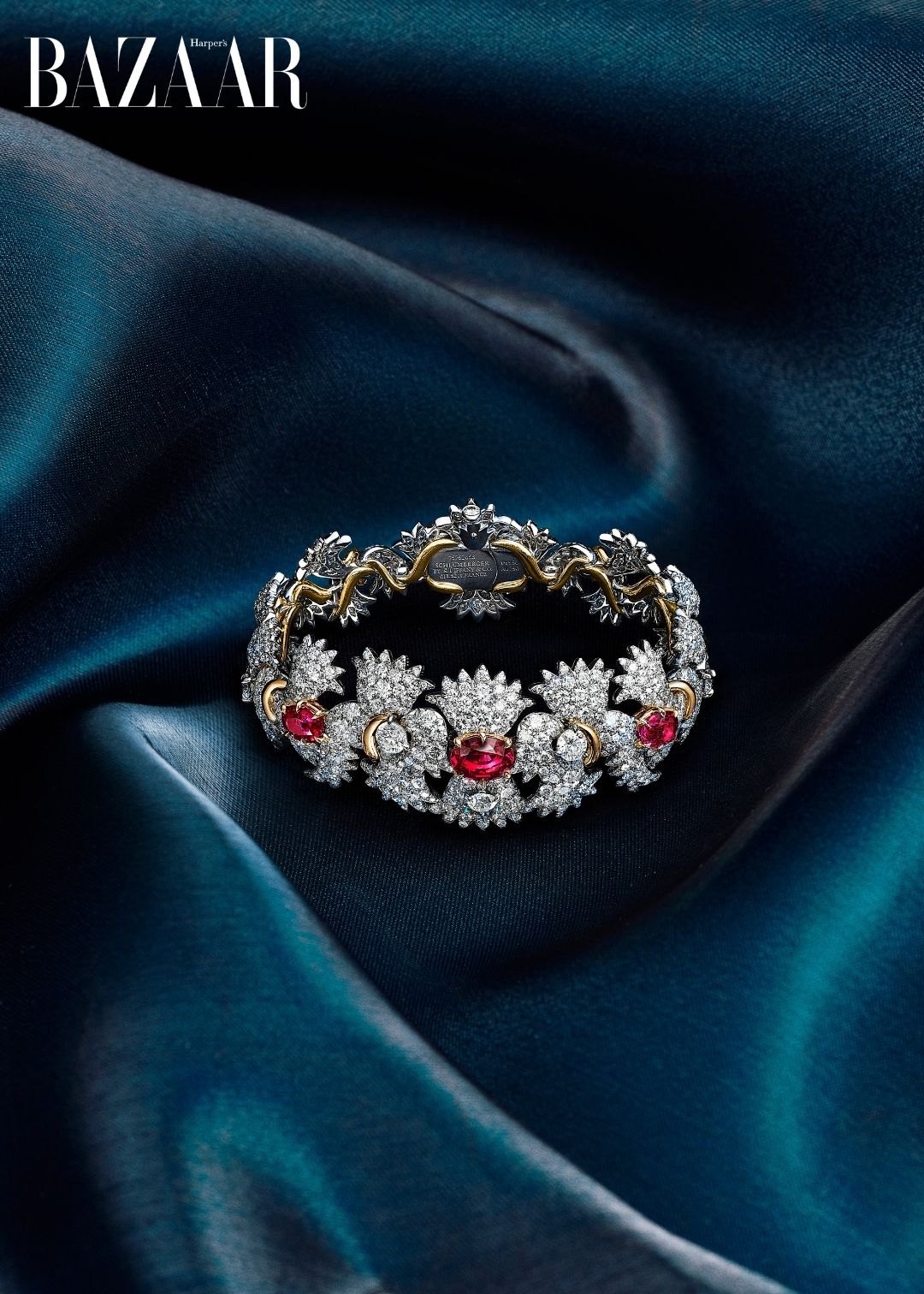 bzvn-tiffany-Blue-book-2025-2