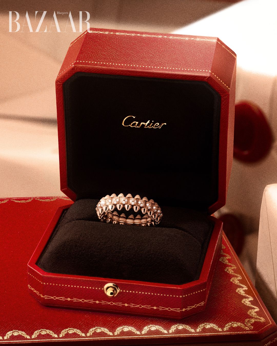 bzvn-cartier-festival-2025-8